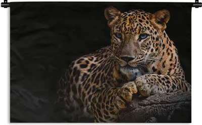 Produktbild von MuchoWow® Wandteppich Wandbehang Wildtiere - Panther - Porträt - Schwarz - Tiere 90x60 cm Tapisserie Dekoration Wandtuch - Wandskulpturen - Bildteppich