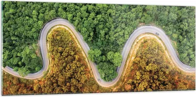 Produktbild von Bilder auf glas - Einteilig - Luftaufnahmen Weg Wald - 120x50cm - Glasbilder - Wandbilder - Bilder - zum Aufhängen bereit - Wanddekoration aus Glas - Glas Bilder - Wandbild auf Glas - GAB120x50-4659