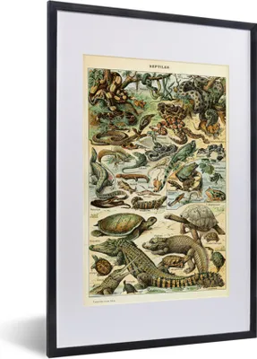 Produktbild von MuchoWow® Gerahmtes Poster Reptilien - Tiere - Natur 40x60 cm - Poster mit Schwarzem Bilderrahmen Wandposter Rahmen Foto Bilder - Poster in Rahmen