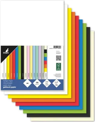Image de papier multifonctionnel kangaro DIN A4 120 g/qm assorti 100 feuilles