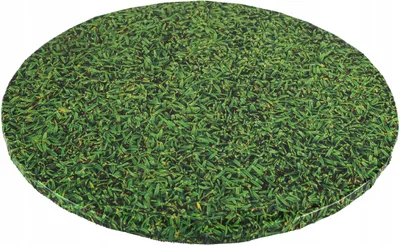 Productafbeelding van Runderkoekbodem, grasvulling, diameter 30 cm
