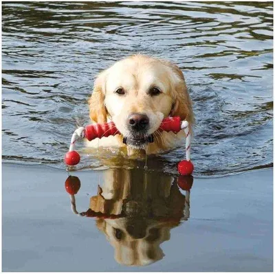 Immagine prodotto di Giocattolo per cani, taglia media-grande, galleggiante, 20 cm