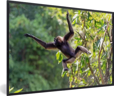 Produktbild von MuchoWow® MuchoWow® Gerahmtes Poster Springender Affe im Dschungel 90x60 cm - Poster mit zchwarzem Bilderrahmen - Fotorahmen - Foto-Plakat