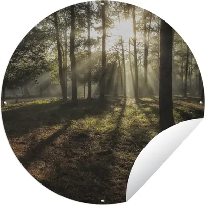 Produktbild von MuchoWow® Gartenposter Outdoor-Poster Rund Wald - Sonne - Nebel Ø 60 cm Gartendeko Rundes Poster draußen