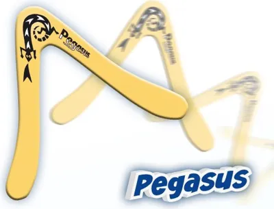Zdjęcie produktu dla Günther Pegasus Boomerang ok. 25 cm