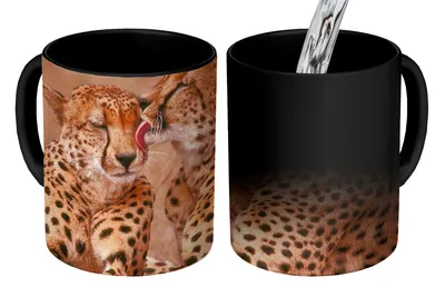 Obrázek produktu pro MuchoWow® Kouzelný pohár Mláďata gepardů 350 ml Barva měnící se pohár Dárkový nápad - foto hrnek