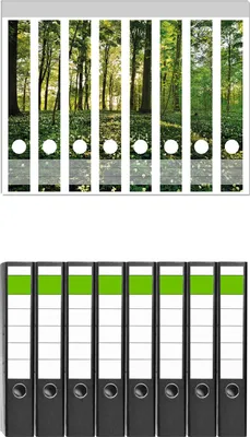 Produktbild von Wallario 8 Stück schmale Ordner inkl. Klebeetiketten mit Motive Waldanemonen und Sonnenstrahlen im Wald -  Set mit Rückenschildern / Ordnerrücken Stickern