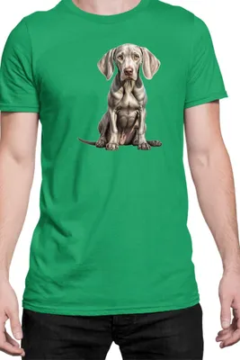 Produktbild von Herren T-Shirt Dogs Breeds Weimaraner Dog Breed 006, Man S / Grün