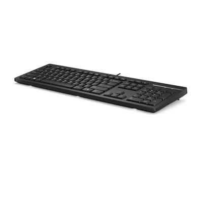 Obrázek produktu pro HP Kabelová klávesnice 125, Plná velikost (100 %), Kabel, USB, Membránový spínač, QWERTY, Černá