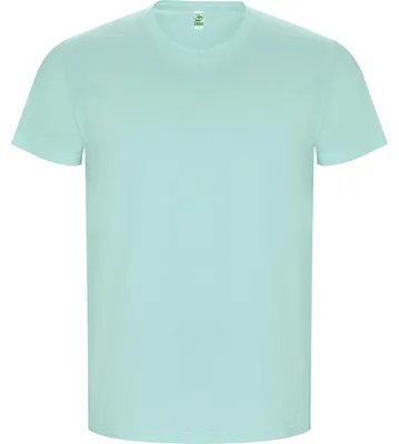 Produktbild von Roly Eco - "Golden" T-Shirt für Herren, Baumwolle LT4502 (S) (Minzgrün)