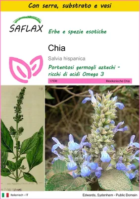 Immagine prodotto di SAFLAX Insieme di coltivazione - Chia - 500 semi - Salvia