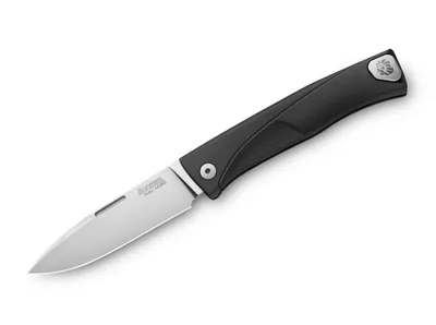 Produktbild von LionSteel Taschenmesser Thrill Black Slipjoint M390
