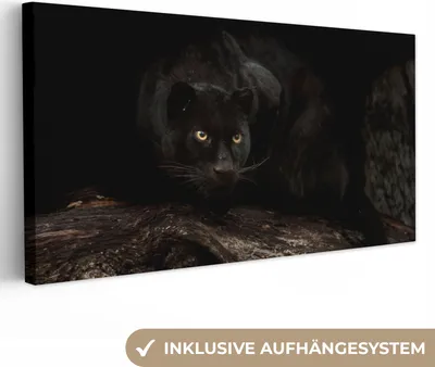 Produktbild von MuchoWow® - Leinwandbilder - Panther - Wald - Augen, Wandbild, Wanddeko Bilder Wohnzimmer, 80x40cm