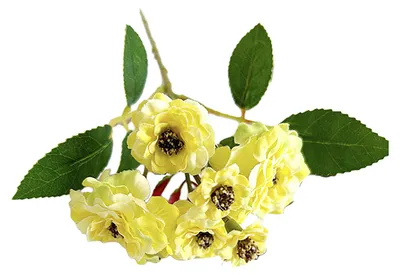 Produktbild von Künstliche Rosen, 6 künstliche Seidenrosen, realistische Blüten, ideal für Zuhause, Hochzeiten, Partys, als Tischdekoration.