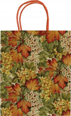 Image de Sachet cadeau en papier A5 « Feuilles d'automne »