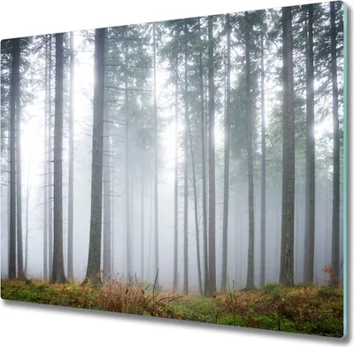 Produktbild von Glas Herdabdeckplatte 60x52 cm Spritzschutz Glasabdeckplatte Schneidebrett Nebel im Wald