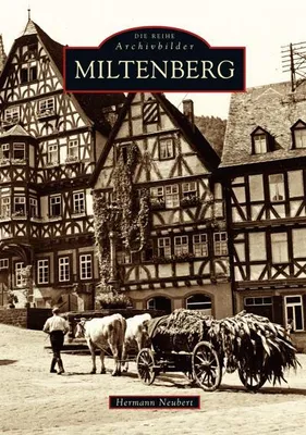 Immagine prodotto di Miltenberg
