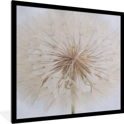 Produktbild von MuchoWow® Gerahmtes Poster Blumen - Löwenzahn - Entwurf 40x40 cm - Poster mit Schwarzem Bilderrahmen Wandposter Rahmen Foto Bilder - Mit Rahmen - Wanddekoration Schlafzimmer