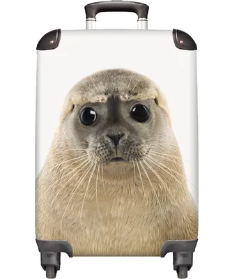 Obrázek produktu pro NoBoringSuitcases.com® Kufr Příruční zavazadlo Trolley Rolling suitcase Malý cestovní kufr na 4 kolečkách - Seal - Fur - Kids - Dog - Cabin Size < 55x40x23 cm & 55x40x20 cm - Foto kufr - Cabin suitcase - Board luggage - Kids suitcase - Kids trolley.