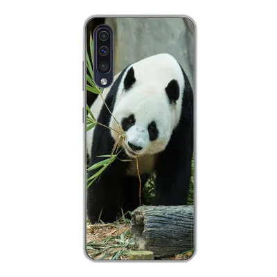 Produktbild von MuchoWow® Handyhülle Schutzhülle Hülle für Samsung Galaxy A30s Panda - Baumstamm - Höhle Silikon Softcase Handy Hülle - Karteninhaber