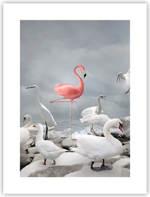 Produktbild von Poster - Poster ohne Rahmen - Flamingo Schwan Fantasie - 30x40 cm - Wand Bild - Wanddeko - Wandbilder - Kunstposter - Wandposter - Bilder - Kunstdruck - Wanddekoration - Wandbild - P2XPA30x40-4929