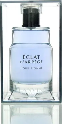 Produktbild von Lanvin, Éclat d'Arpege Pour Homme, Eau de Toilette, 100 ml, Herren, zitrisch-aromatisch, Spray