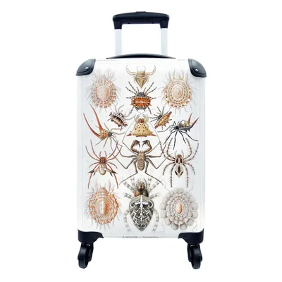 Produktbild von MuchoWow® Koffer Handgepäck Trolley Rollkoffer Kleine Reisekoffer mit 4 Rollen - Retro - Spinne - Ernst Haeckel - Spinnen - Cabin Size < 55x40x23 cm & 55x40x20 cm - Fotokoffer - Kabinenkoffer - Boardgepäck - Reise-Box - Reisekoffer - Reisegepäck - Koffer mit Bild - Trolley für Kinder