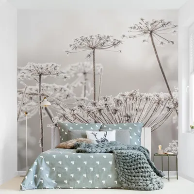 Produktbild von Fototapete Blumen - Vliestapete - Bildtapete UV-beständig Gräser beige Landhaus Wandtapete geruchsfrei