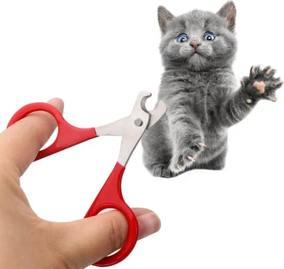 Produktbild von Jumada's – Nagelknipser für Hunde, Katzen, Kaninchen und Meerschweinchen – Nagelknipser – Nagelscheren