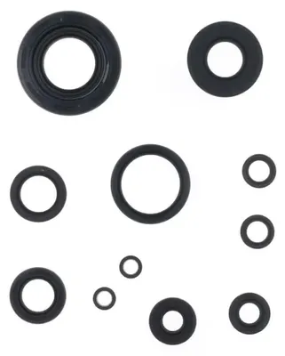 Obrázek produktu pro Kit de joints d'huile pour moteur Athena P400485400035