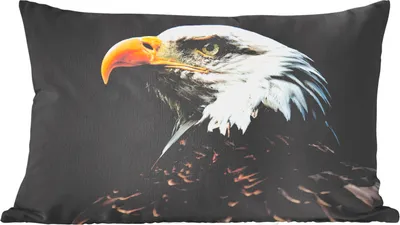 Produktbild von MuchoWow® Zierkissen Sofakissen Wohnzimmer Dekokissen 60x40 cm Seitenansicht eines Weißkopfseeadlers - Kopfkissen - Polster mit Foto