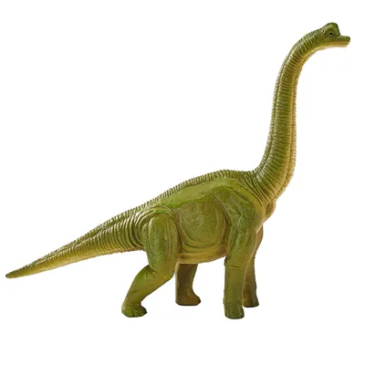 Zdjęcie produktu dla Mojo Fun Brachiosaurus, 3 lat(a), PREHISTORIC LIFE, Zielony, Żółty, Polichlorek winylu (PVC)