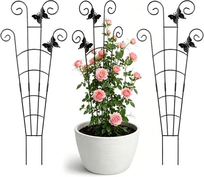 Produktbild von Gartenpflanzenstützen 78 cm, 3er-Set, Metall, rostfrei, für Kletterpflanzen
