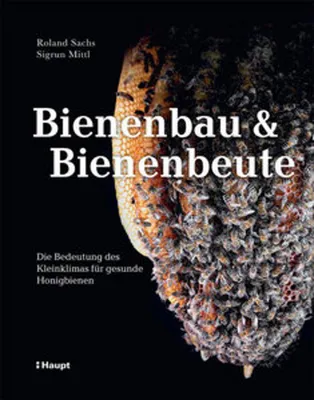 Image de Bienenbau und Bienenbeute