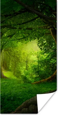 Produktbild von MuchoWow® Poster Bäume - Wald - Grün - Landschaft - Natur 20x40 cm - Plakat - Foto