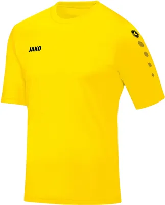 Produktbild von Trikot Team KA JAKO