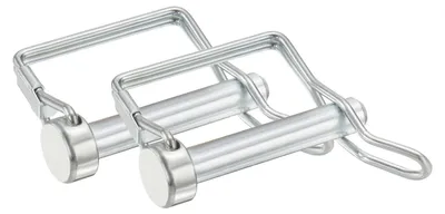 Productafbeelding van 2 stuks koppelingspinnen voor aanhangers, 12/40 x 4,5 cm, met veiligheidsdraad