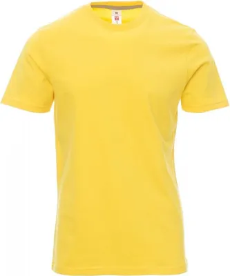 Produktbild von PAYPER T-Shirt SUNRISE – Kurzarm Herren-Shirt aus Baumwolle mit Rundhalsausschnitt, seitlichen Nähten und angenehmer Passform gelb M