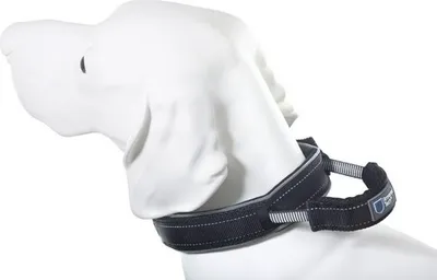 Produktbild von Halsband ArmoredTech Dog Control Gr. L 45 - 53 cm schwarz