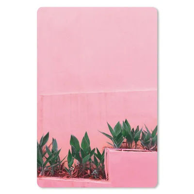 Produktbild von MuchoWow® Mauspad Mousepad Pflanzen - Sommer - Farbe 40x60 cm - Mousepads - Maus Mat - Pad - Mausunterlage - Schreibtisch Accesoire
