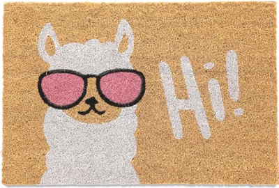 Image de Tapis d'entrée Relaxdays Lama, en fibre de coco, 60 x 40 cm, antidérapant, résistant aux intempéries, pour l'intérieur et l'extérieur, tapis en fibre de coco, multicolore
