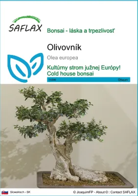 Obrázok produktu pre SAFLAX - olivovník - Olea europea - 20 Semená