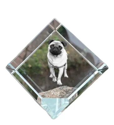 Produktbild von Mops Kristallwürfel mit Hund Art-Dog