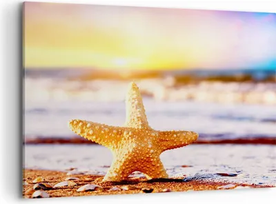 Produktbild von Bild auf Leinwand - Leinwandbild - Starfish Strand Sand Ozean - 100x70cm - Wand Bild - Wanddeko - Leinwanddruck - Bilder - Kunstdruck - Wanddekoration - Leinwand bilder - Wandkunst - AA100x70-2815