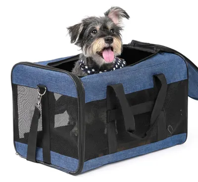 Obrázek produktu pro Transportní taška pro psy a kočky, rozměry 51 x 31 x 31 cm, modrá barva