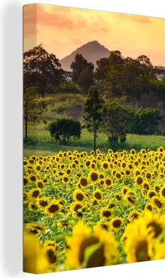Zdjęcie produktu dla OneMillionCanvasses® - Obraz na płótnie - 90x140 cm, Słonecznik - Natura - Góry, Dekoracja ścienna - Zdjęcie na płótnie - Obraz na drewnianej ramie - Dekoracja ścienna - Sypialnia