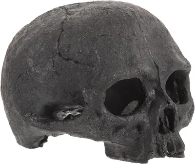 Productafbeelding van Aquariumdecoratie: schedel. Versteegplaats voor vissen en garnalen, gemaakt van stevig hars. Halloween-decoratie: schedelgrot. Zwart, veelzijdig en geschikt voor aquaria