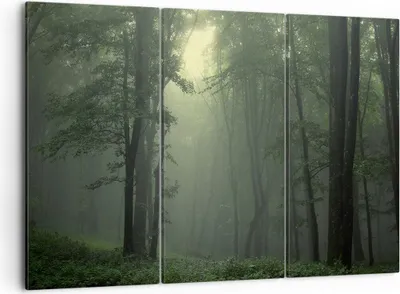 Produktbild von Bild auf Leinwand - Leinwandbild - Wald Nebel Baum - 105x70cm - Wand Bild - Wanddeko - Wandbilder - Leinwanddruck - Bilder - Kunstdruck - Wanddekoration - Leinwand bilder - Wandkunst - CE105x70-3543