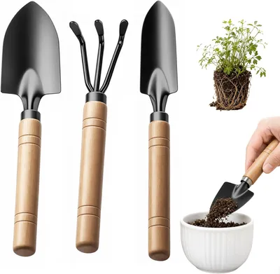 Immagine prodotto di Set di mini-utensili da giardino, composto da 3 pezzi, con manici in legno: una paletta larga, una paletta stretta e un coltivatore, ideali per la cura dei bonsai