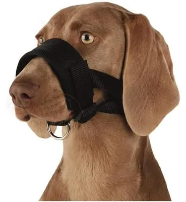 Produktbild von TRIXIE 19282, Hund, Schlaufenmaulkorb, XL, Schwarz, Einfarbig, Nylon
